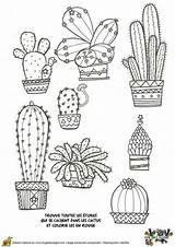 Cactus Coloring Pages Dessin Doodle Drawings Drawing Patterns Book Coloriage Embroidery Doodles Sketch Succulents Plants Adult Adults Imprimer Floral Journal sketch template