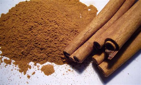 ingredient spotlight cinnamon integrity botanicals