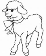 Easter Coloring Lambs Pages Lamb sketch template