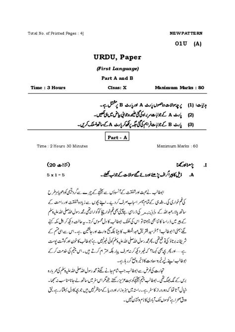 ts ssc model paper urdu  language