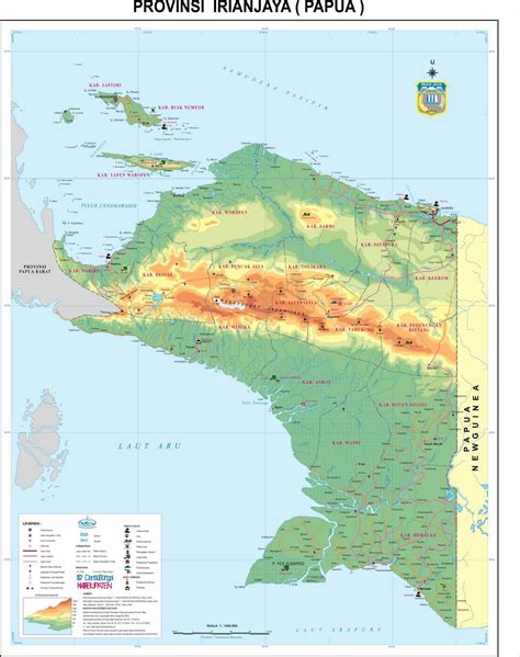 peta provinsi papua