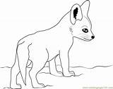 Fox Coloring Baby Cute Pages Printable Drawing Color Getcolorings Getdrawings Popular Library Clipart sketch template