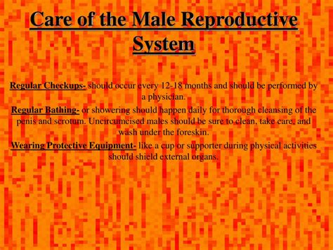 ppt chapter 18 endocrine and reproductive systems powerpoint