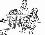 Donkey Cart Pulling Melons Carriage Loaded sketch template