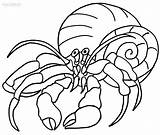 Crab Hermit Einsiedlerkrebs Cool2bkids Ausmalbilder Malvorlagen Druckbare Colouring Anything sketch template