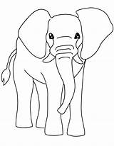 Elephant Coloring Pages Printable Kids Elephants Bestcoloringpagesforkids Animal A4 Popular Jungle sketch template