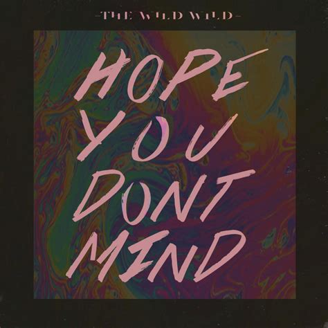 hope you don t mind single by the wild wild spotify