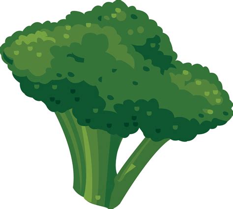 vegetales verdes dibujo clipart full size clipart  pinclipart