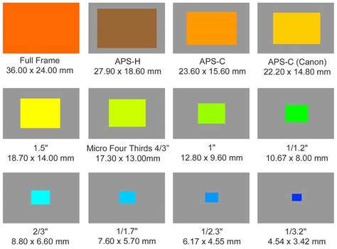 camera sensor sizes explained