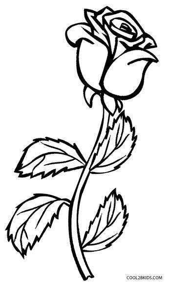 black  white drawing   rose   stem  attached