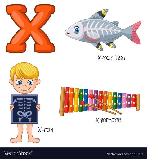 alphabet vector image    alphabet worksheets preschool