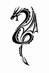 Dragon Tribal Stencils Tattoo Tattoos Fantasy Head Ebay Designs sketch template