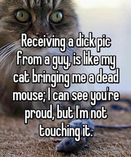 193 Best Images About Sexy Memes And Silly Pins On Pinterest