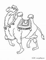 Camello Ausmalen Kamel Camile Desene Colorat Salvajes Ausmalbilder sketch template