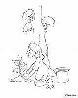 Planting Pitara Sapling sketch template