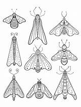 Coloring Pages Moth Adult Printable Insect Print Animal Sheets Books Insects Colouring Broderie Book Papillon Fairy Pattern Coloringbay Patterns Papillons sketch template