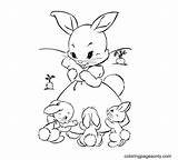 Rabbit Bunnies sketch template