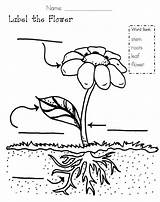 Soil Coloringsky sketch template