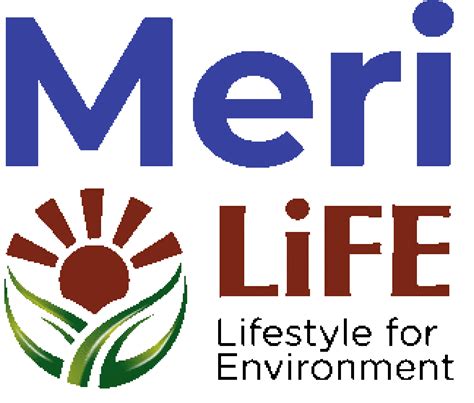 government  launched  meri life  life mobile application  empower young