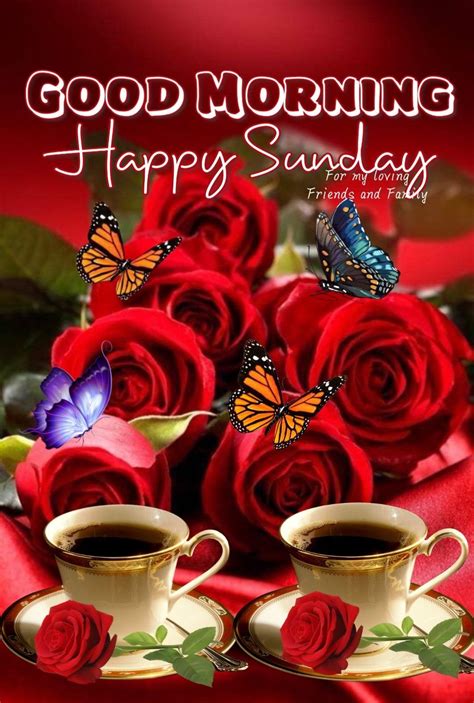 full  collection  top  amazing happy sunday good morning images