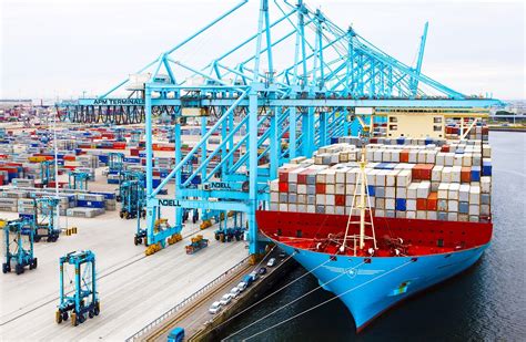 maersk  hutchison ports strike deal  apm terminals rotterdam container news