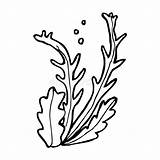 Seaweed Sea sketch template