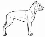 Staffordshire Lineart sketch template