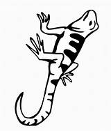 Lizard Coloring Pages Print Color Coloring2print sketch template