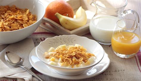 el desayuno no es la comida más importante del día dietas y nutrición