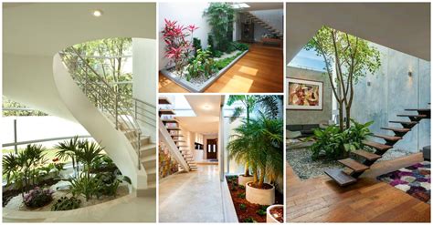 dreamy interior gardens  green  home
