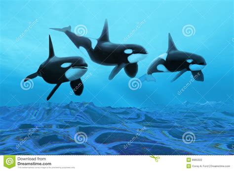 whale world stock photo image  flying liquid spring