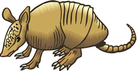 Armadillo Clipart Clipart Panda Free Clipart Images