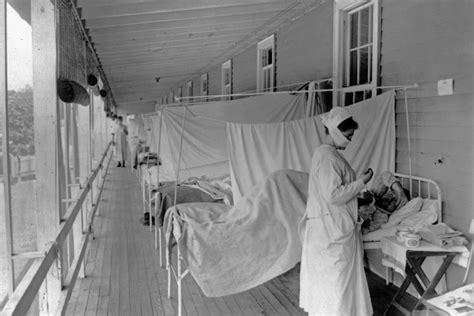 historys deadliest pandemics plague smallpox flu covid