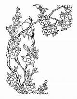 Cherry Blossom Coloring Tree Color Pages Getcolorings Printable sketch template