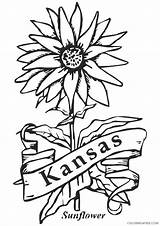Coloring Sunflower Pages Coloring4free Kansas City Related Posts sketch template