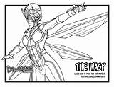 Wasp Ant sketch template