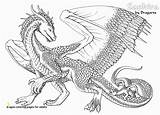 Coloring Pages Dragon Real Dragons Realistic Awesome Adults Chinese Divyajanani sketch template