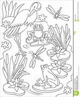 Swamp Marais Moeras Illustratie Kleuren Zwart Coloration Blanche Noire Designlooter sketch template