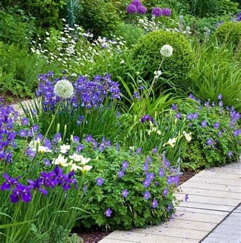 border met witte en paarse planten border tuin planten wit paars paarse planten paarse
