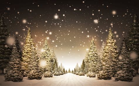 amazing beautiful christmas trees wallpaper hd wallpapers