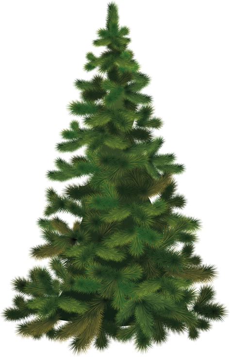 christmas tree png image purepng  transparent cc png image library