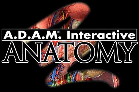 adam interactive anatomy gigamed