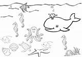 Sea Coloring Pages Under Getcolorings Star sketch template