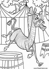 Madagascar Colorir Marty Zebra Ausmalbilder Disegni Colorare Colorat Cirque Coloriages P59 Malvorlagen Ausmalen Planse Circo Planetadibujos Animaatjes Primiiani Malvorlage Websincloud sketch template