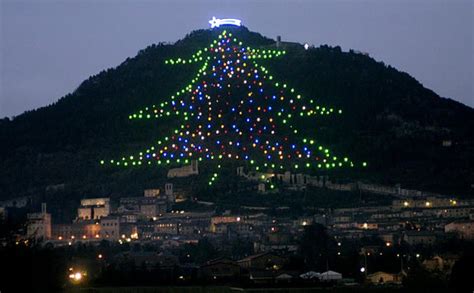 holy lights christmas displays    world christmas  italy big christmas tree