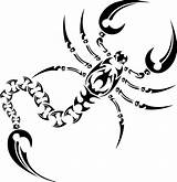 Scorpion Tribal Tattoo Drawing Outline Scorpions Cool Designs Getdrawings sketch template