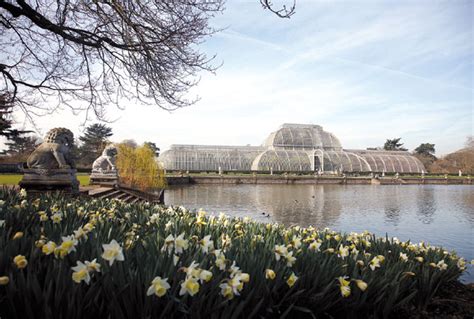 the waterlily house at kew gardens an architectural statement on the grounds encloses a