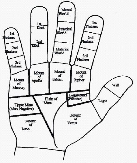 combination of mounts palmistry lines