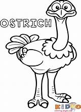 Coloring Pages Ostrich Book Bird Kindergarten Kids Ratings Yet sketch template