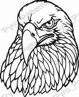 Burning Wood Patterns Pyrography Eagle Stencils Printable Stencil Pattern Bird Head Designs Woodburning Carving Templates Print Simple Birds Coloring Drawing sketch template